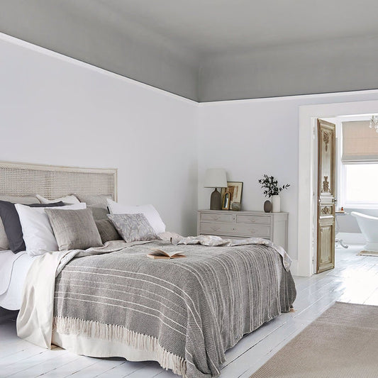 Gull Grey